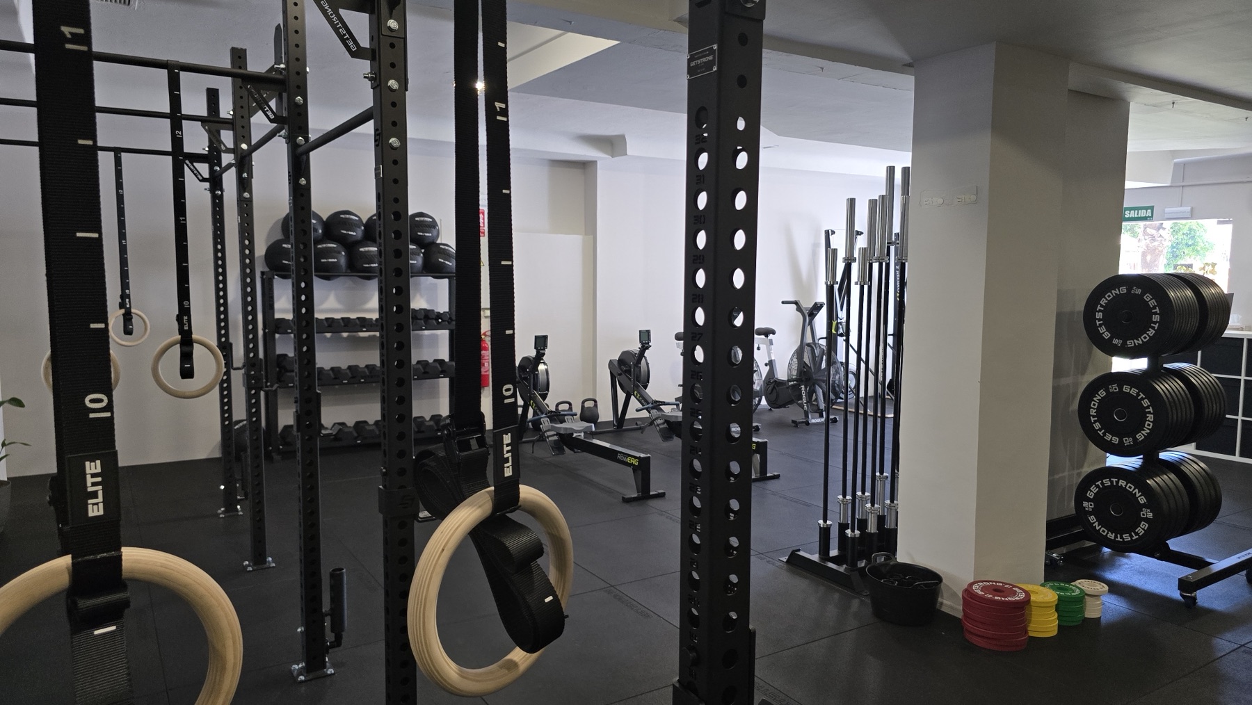 Detalle de anillas, discos y zona de fuerza de HUMAN FITNESS